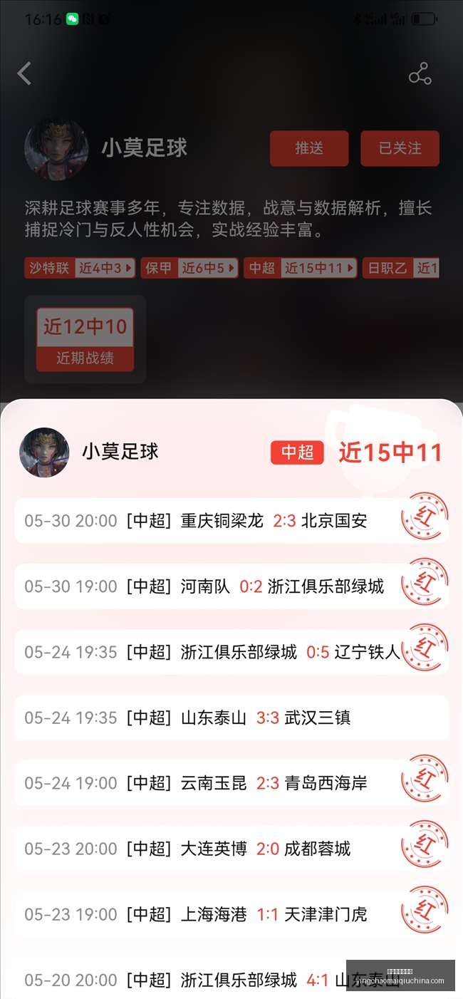 广东广州豹,主场优势显,胜战绩稳定,英超买球网官网,英超买球网,英超直播,英超投注,英超入口