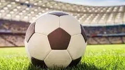 营山县民营企业家趣味运动会欢乐启幕，政企携手共促繁荣