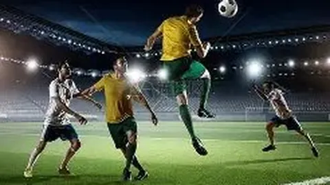 “我校成功举办2025年辽宁省大学生羽毛球锦标赛”