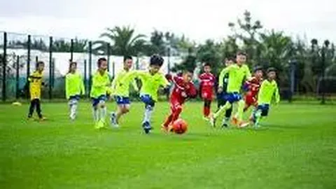 国际收支统计间接申报案例分析报告发布