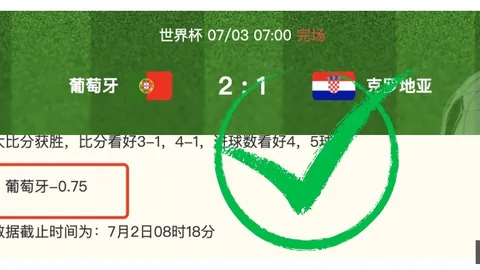 英超买球网官，英超投注，网 054021 74